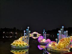 -映月湖公园