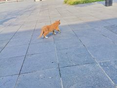 -万寿八仙宫