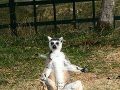 -杭州野生动物世界