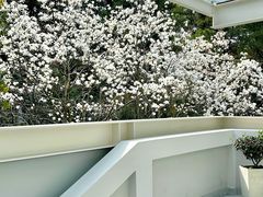 -浙江大学(玉泉校区)