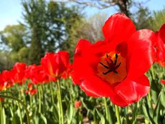 -秦皇岛野生动物园