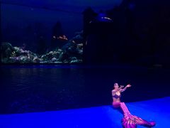 -芜湖新华联大白鲸海洋公园