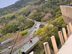 -福道