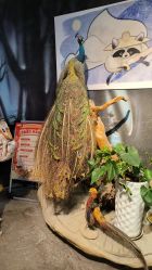 -酷嗒动物文化乐园(cutezoo西溪乐天城店)