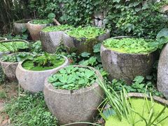 -老木棉·匠园