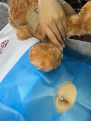 -MDZ STORE·TATTOO·耳饰