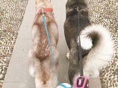 -白鹭湾湿地公园