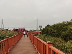 -芒洲湿地公园