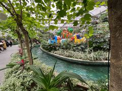 -南宫五洲植物乐园