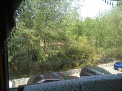 -卫鼎轩·家宴(水上公园店)