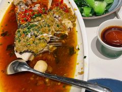 -凤凰湘语(浦东旗舰店)
