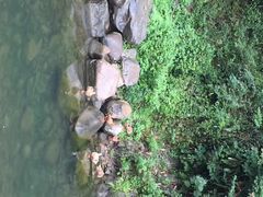 -将军关探险漂流