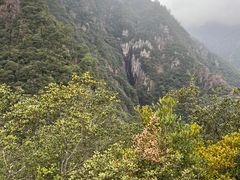 -龙湾潭国家森林公园