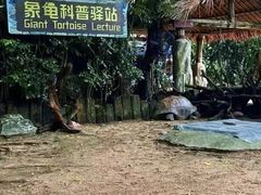 -广州长隆飞鸟乐园