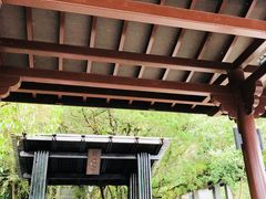 -金盆阿嬷香菇茶叶蛋(玄光店)