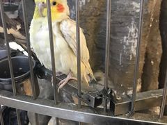 -东四民芳餐厅(世茂工三店)