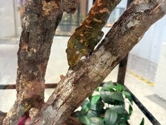 -上海昆虫博物馆