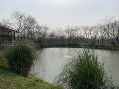 -木守西溪溪隐餐厅