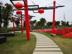 -芒洲湿地公园