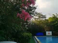 -汪说喵讲宠物乐园宠物酒店(红星美凯龙店)