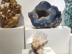 -重庆自然博物馆(新馆)