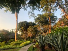 -四季酒店下午茶