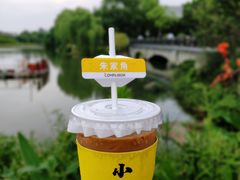 -COMPANION COFFEE小伴咖啡