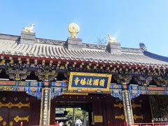 -护国法轮寺