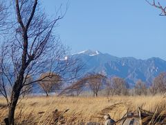 -野鸭湖国家湿地公园