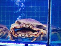 -启东小海鲜(庄先湾路1号店)