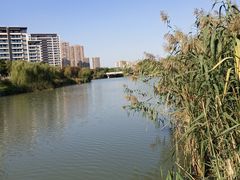 -映月湖中央公园