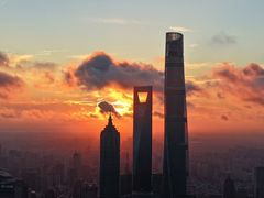 -上海波特曼丽思卡尔顿酒店