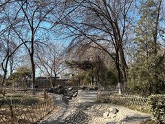 -丰台科技园生态主题公园