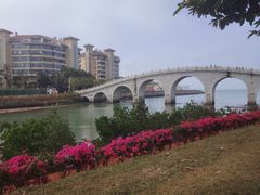 -万绿园