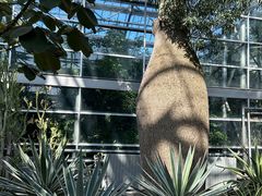 -南山植物园