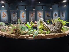 -南宫五洲植物乐园