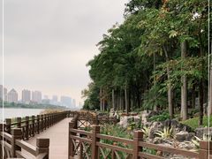 -南宁南湖公园