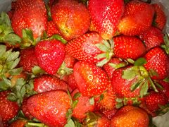 -宋记冕宁土菜馆(海门渔村二店)