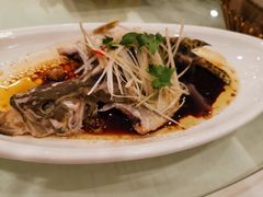 -鑫皇朝酒店(建设一路店)