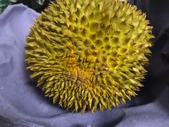 -AEON永旺(东方宝泰店)