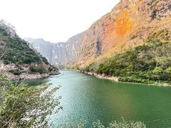-霸王岭国家森林公园