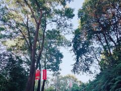 -广州市帽峰山景区
