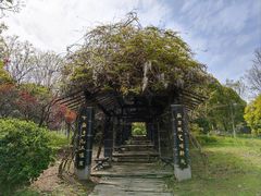-武汉园博园(武汉自然博物馆)