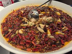 水煮笋壳鱼-羊门客在·烤盐池滩羊·川菜