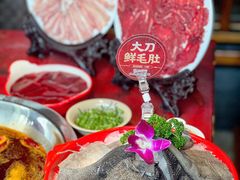 -大龙燚·旷野鲜火锅(广州首店)