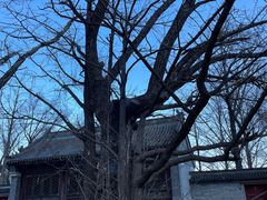 -阳台山自然风景区