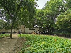 -绍兴鲁迅故里·沈园景区