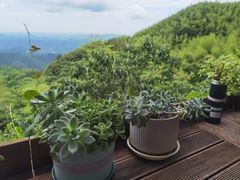 -莫干山风景区