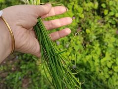 -木子山庄·安徽省老字号·中国炖锅宴