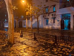 -老吉士酒家(天平路店)